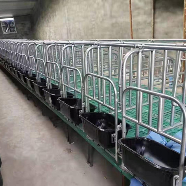 母豬全自動化下料定位欄